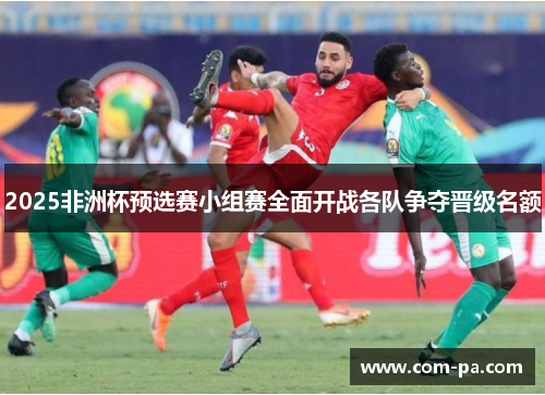 2025非洲杯预选赛小组赛全面开战各队争夺晋级名额