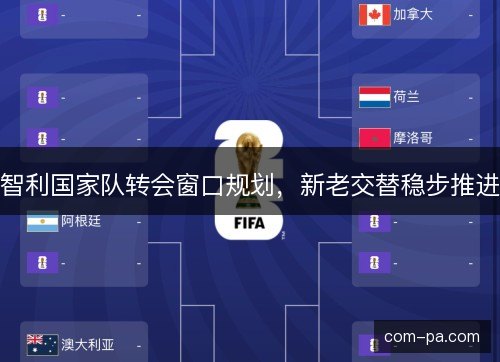 智利国家队转会窗口规划,新老交替稳步推进 智利国家队转会窗口规划,新老交替稳步推进